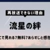 流星の絆_再放送できない理由